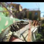 Nyaraló Casa Tata *