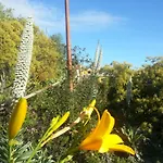 Nyaraló Casa Tata *