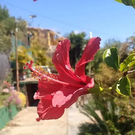Casa Tata Tijarafe