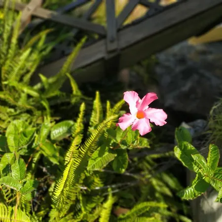 Holiday home Casa Tata *