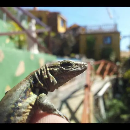 Holiday home Casa Tata *