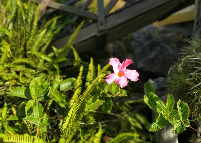 Feriehus Casa Tata *