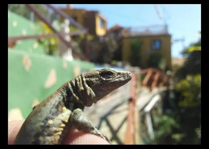 度假居 Casa Tata *