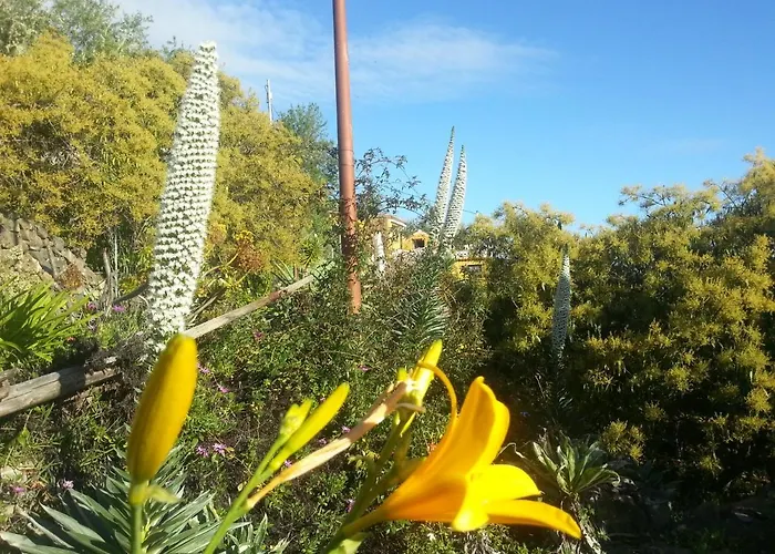 度假居 Casa Tata *