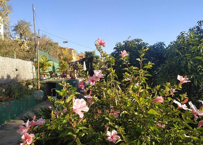 Casa Tata 度假居 *