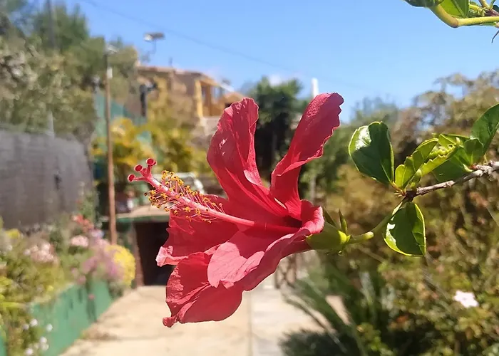 Casa Tata Tijarafe